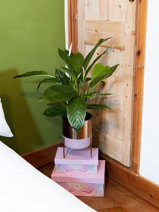 Cosy Cottage In Central Reading Free Parking & Fast Wifi Ngoại thất bức ảnh