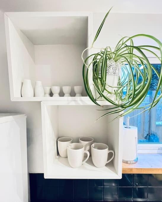 Cosy Cottage In Central Reading Free Parking & Fast Wifi Ngoại thất bức ảnh